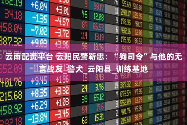 云南配资平台 云阳民警靳忠：“狗司令”与他的无言战友_警犬_云阳县_训练基地