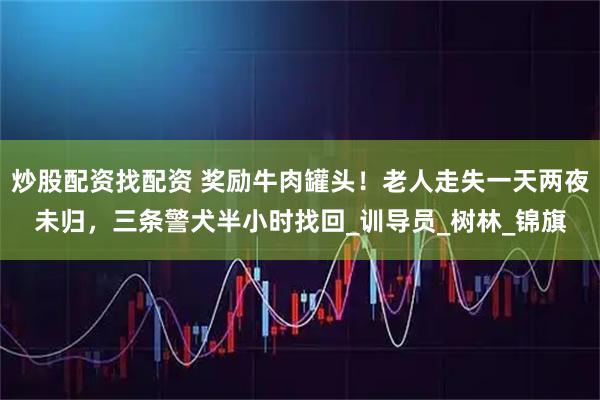 炒股配资找配资 奖励牛肉罐头！老人走失一天两夜未归，三条警犬半小时找回_训导员_树林_锦旗